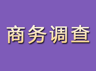 邳州商务调查